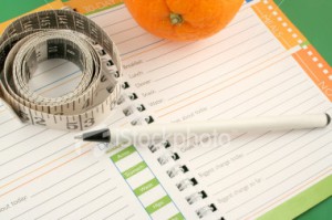 stock-photo-2493600-diet-journal